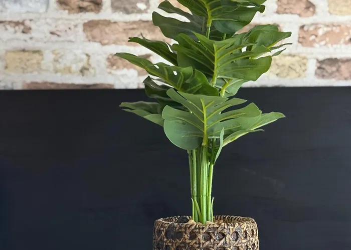 Paraiso Sur & Panoramic Views Apartment, Tenerife Appartement