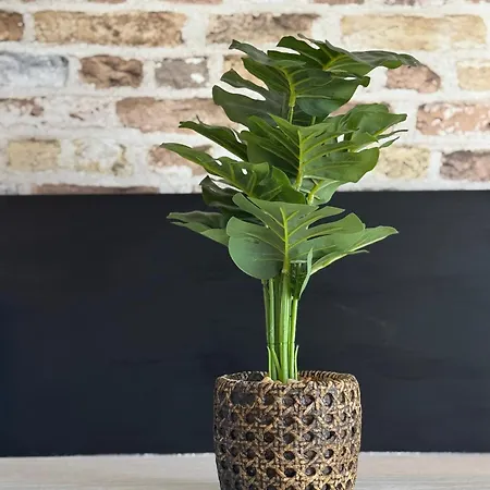 Paraiso Sur & Panoramic Views Apartment, Tenerife Appartamento